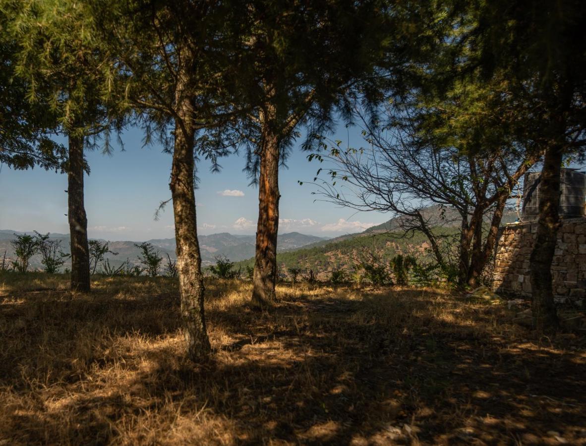 Blusalzz Homes - The Himalayan Bungalow, Almora - Uttarakhand Экстерьер фото